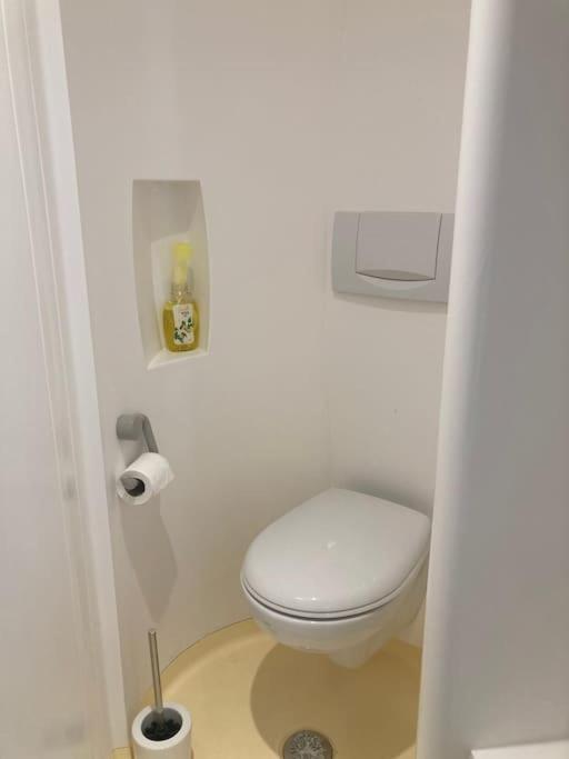 Charmant Studio Terrasse 25Min Aeroport Cdg Saint-Brice-sous-Forêt Εξωτερικό φωτογραφία